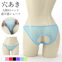 ショーツ 穴あき Oバック ラポーム パンツ パンティ レディース La-Pomme ラ・ポーム セクシー ランジェリー 勝負下着 過激 プレイスーツ sexy 日本製 シースルー スケスケ 股割れ オープン クロッチ 全7色 M 216015