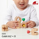 コビット 6ピース Connectable Chain Cobit 6pieces ジェニ GENI 