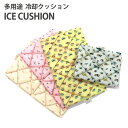 アイスクッション ICE CUSHION A3Y4062 【メール便送料無料】【海外×】【DM】