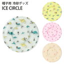 アイスサークル ICE CIRCLE A3Y4082 【メール便送料無料】【海外×】