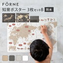 知育ポスター　3枚セット　B（日本地図／世界地図／ローマ字）　FORNE　フォルネ　【ポイント5倍】【10／12】【ASU】