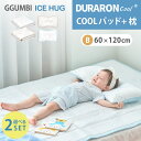 選べる2点セット ベビー枕+敷きパッド 60×120cm アイスハグ GGUMBI (ハイプードル/ハローベア) ICEHUG Ggumbi 新生児 枕25×40cm デュラロンクール 涼感寝具 夏用寝具 接触冷感 吸水速乾 夏【送料無料 ポイント10倍】【7/23】【一部予約】