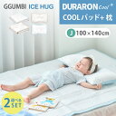 選べる2点セット ベビー枕+敷きパッド100×140cm アイスハグ GGUMBI (ハイプードル/ハローベア) ICEHUG Ggumbi 新生児 枕25×4...