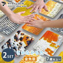 【100円OFFクーポン】【New】【正規販売店】2個セット さかなかるたプラス 金魚版 桜+葵(各6枚組) かのんちゃん コラボ さかなかるた 金魚 魚 さか...