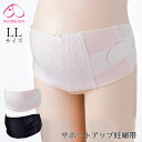 犬印妊婦帯 サポートアップ妊婦帯(LL) HB8055 HB8102A 【メール便送料無料】