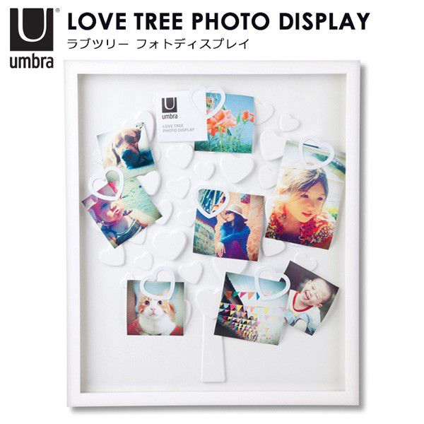 Umbra ラブツリー フォトディスプレイ/lovetree photo display/アンブラ【送料無料】【海外×】【ポイント5倍】【5/21】【GK】【ASU】