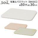 【アスベスト検査済】日本製　soil　バスマット（300×500×28mm）ベーシック／BATH　MAT　BASIC／アッシュコンセプト【送料無料】【ポイント10倍】【8／17】【あす楽】