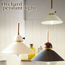オーチャードペンダントライト/Orchard pendant light APE-007/スワン電器【送料無料】【ポイント12倍】【p1111】