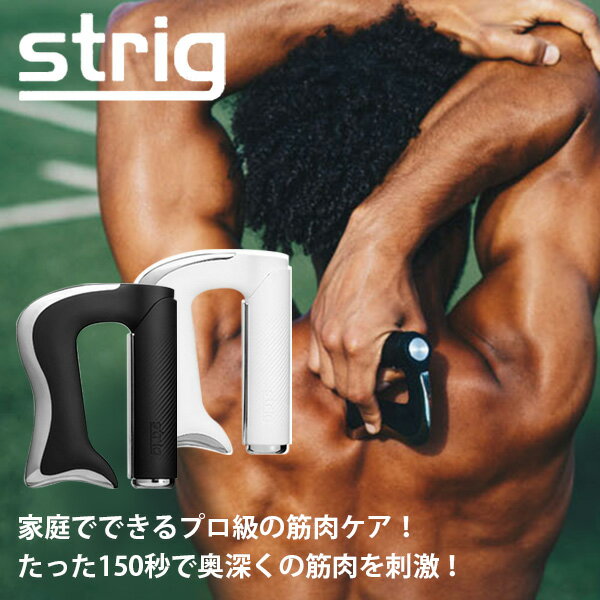 STRIG ポータブルヘルスケア ケース付き 筋肉刺激 マイクロカレント 超音波振動 ステンレス（YBT）【送料無料】【海外×】【ポイント8倍】【6/12】【ASU】