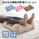 のびのび腰痛対策 脚クッション コジット 健康器具 脚枕 腰痛 クッシ...(3)