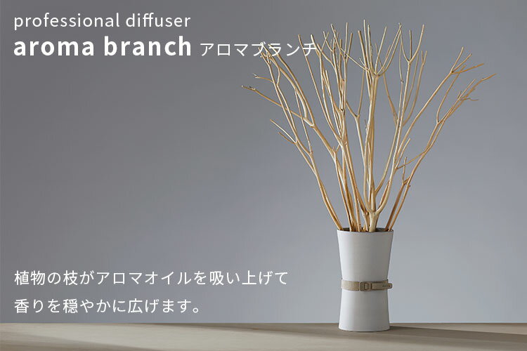 アロマブランチ（ベース）トコナメ aroma branch base TOKONAME（CORE）【送料無料】【ポイント10倍】【6/13】【ASU】【海外×】 3