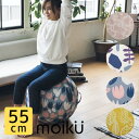 モイク バランス ボール 55cm moiku Balance Ball グローバルアロー【送料無料】【ポイント11倍】【5/7】
