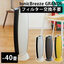 【800円OFFクーポン対象】Ionic Breeze GRANDE イオニックブリーズ グランデ 空気清浄機 フィルターレス（bcl）【一部予約】【送料無料..