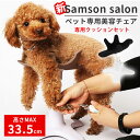 新 Samson salon サムソン・サロン 専用クッションセット ペット専用チェア balsang（IRIE）【送料無料】【ポイント5倍】【4/11】【ASU】