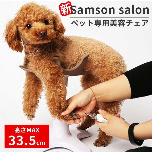 楽天インテリア雑貨　フラネ flaner新 Samson salon サムソン・サロン ペット専用チェア balsang（IRIE）【送料無料】【ポイント3倍】【5/23】【ASU】