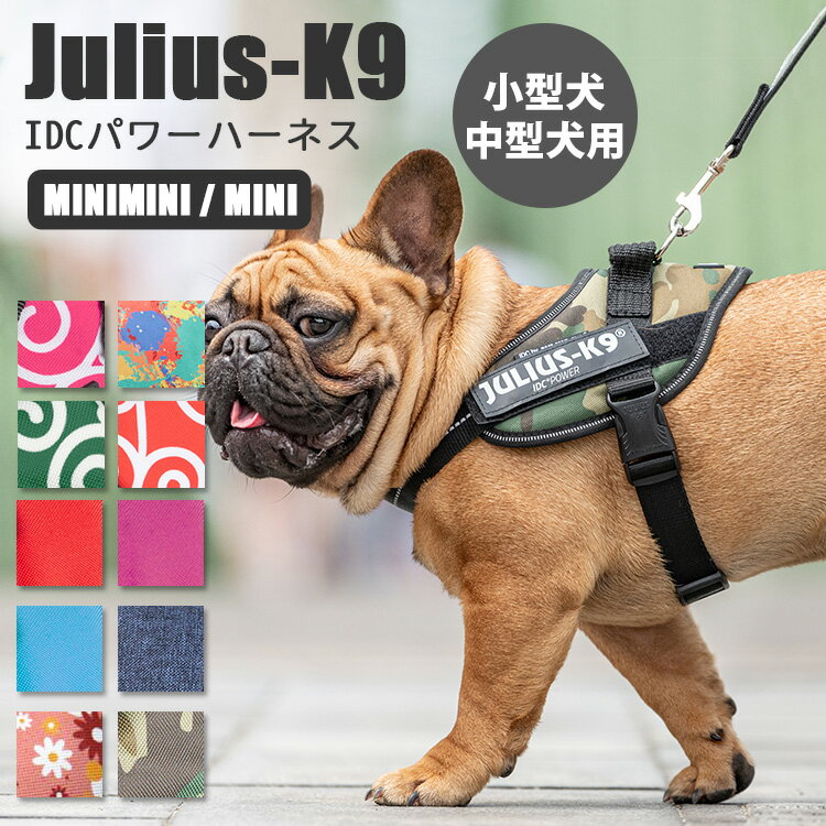 IDCパワーハーネス MINIMINI・MINI（XS・S/小・中型犬用）Julius-K9 ユリウスケーナイン IDC Power Harness ユリウスk9 犬用ハーネス 胴輪 機能性抜群 散歩（AMNT）