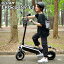 RIDAM EV Scooter E1 ưХ ư 10 ƻԲǽ 饤  1;bclˡ̵ۡڳߡۡԲġۡڥ᡼ľۡڰ̸ưռž֡