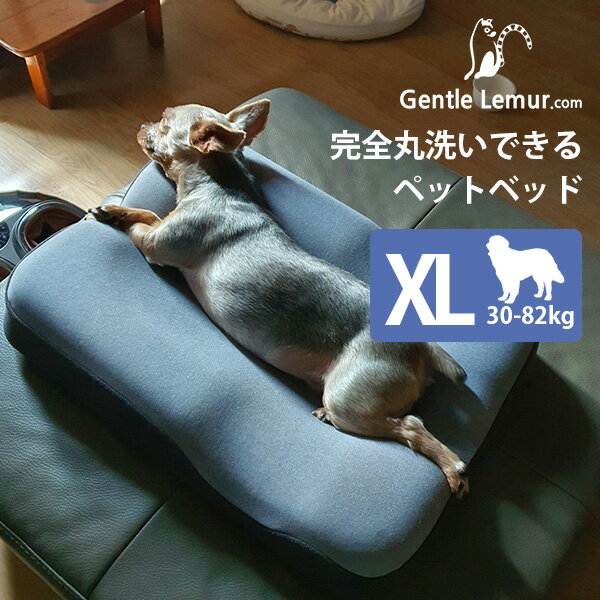 ジェントルリーマペットベッド XLサイズ（体重30～82kg/大型犬・超大型犬） 犬用ベッド 猫用ベッド 丸洗い 防臭 3D（EURE）【送料無料】【海外×】【代引き不可】【ポイント2倍/メーカー直送】【5/22】