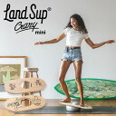 バランスボード LandSup Crazy mini ランドサップ クレイジーミニ 全2種（体幹 トレーニング 陸トレ バランス 体幹トレーニング バランスボード トレーニングボード 日本製）（DELU）【送料無料】【ポイント6倍】【5/7】【ASU】