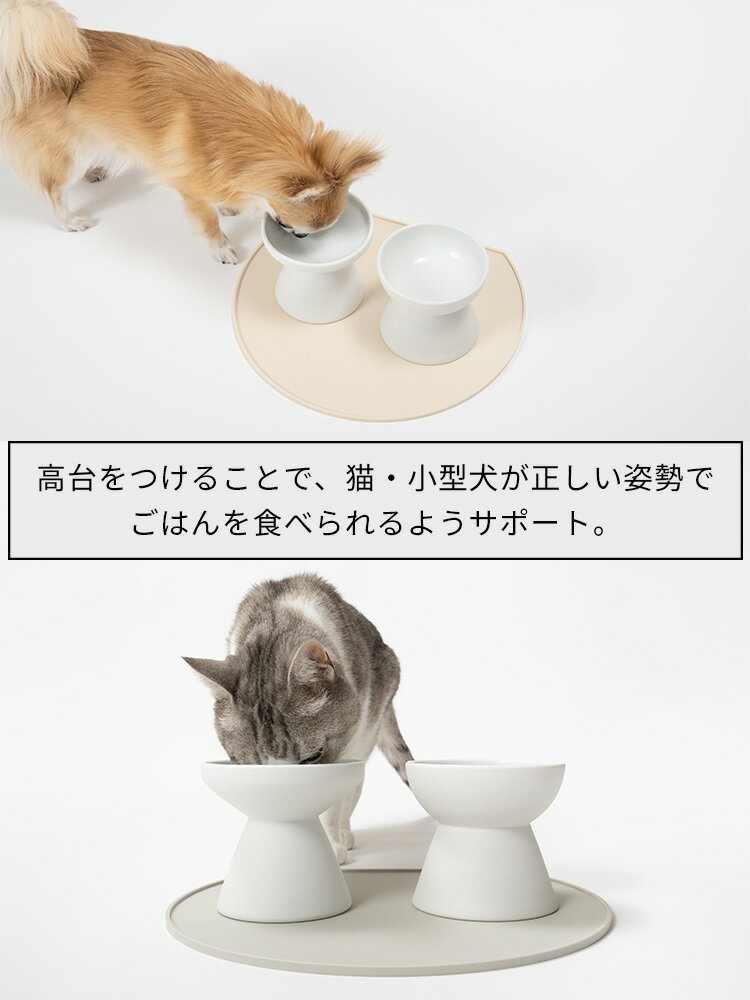 【即納】有田焼フードボウル nune ペット用 食器 猫 小型犬 高台付き 電子レンジ・食洗器OK（nune）【送料無料】【ポイント10倍】【5/23】【ASU】【海外×】 3