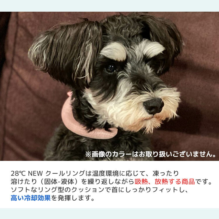 スオ 犬用 28℃ NEW クールリングS（Suo 首回り 首 ひんやり 熱中症対策 アウトドア Sサイズ ドッグ ペット用）（WIZ）【メール便送料無料】【ポイント8倍】【5/22】 2