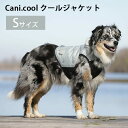 CANI　COOL　カニクール　クールジャケット　Sサイズ　グレイ　クールコート　犬用　暑さ対策（AMNT）【送料無料】【ポイント5倍】【11／22】【ASU】