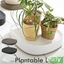 tidy Plantable L プランタブル エル キャスター付トレー【送料無料】【ポイント11倍】【5/21】