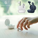 Haylou ハイブリッド ワイヤレスイヤホン W1 Knowles Bluetooth ハイロー 高音質 通話 超軽量（ROA）【送料無料】【海外×】【ASU】