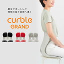 カーブルグランド Curble Grand 正しい姿勢の習慣化をサポート カーブルチェア 最新モデル 体圧分散【送料無料】【海外×】【代引き不可】【ポイント5倍...