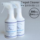 2本セット Carpet Cleaner カーペットクリーナー 300mL HOTTA CARPET スプレー 中性（HOTT）【送料無料】【海外×】【ASU】