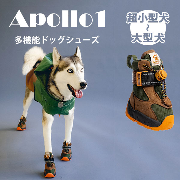 Apollo1（アポロワン） 茶＆緑 獣医師監修多機能ドッグシューズ 小型犬 中型犬 大型犬 RIFRUF アポロ1（STOR）【送料無料】【ポイント10倍】【6/13】【ASU】