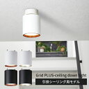Grid PLUSーceiling down light グリッドプラスシーリングダウンライト AWー0612E/ART WORK STUDIO【送料無料】【ポ...