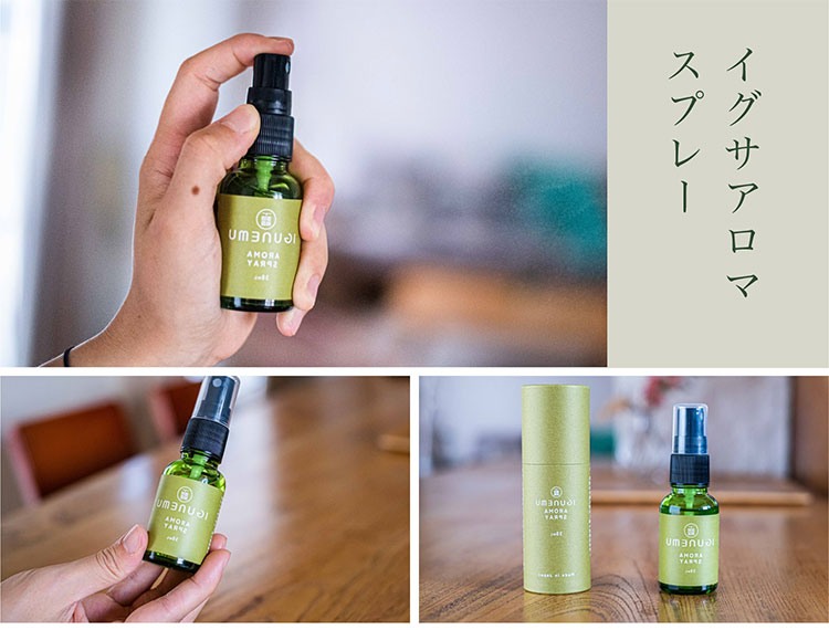 IGUNEMU イグサアロマスプレー 30mL イグネム【海外×】 flaner-10022967 インテリア雑貨 フラネ flaner サンプル画像3