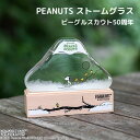 PEANUTS ストームグラス ビーグルスカウト50周年スヌーピー PN 天気管 インテリア雑貨 ガラス 木製 木目 天然木 おしゃれ 【送料無料】【ポイント1...