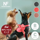 2点セット Now&Fountain ボディーベルト+リード Bタイプ Cタイプ(トイプー・ミニチュアダックス・ミニチュアシュナウザー・イタリアングレーハウンド...