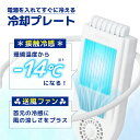 flaner:10023742のサンプル画像3