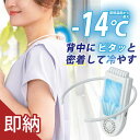 【30%OFFクーポン!残りわずか】サンコー セナクールPlus SENA24HWH 背中 装着 冷却プレートで背中スッキリ涼しい セナクールプラス THANKO セナクール ペルチェ 冷却 涼しい 冷たい 冷感 熱中症対策 目立たない フレキシブル 男女兼用【送料無料】【海外×】(2)