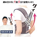 シャキッとグイーン 保阪流 姿勢補整ベルト M L LL 3L 男女兼用 保阪尚希さん監修 姿勢サポーター 姿勢ベルト 猫背ベルト 姿勢サポート 美姿勢 インナ...