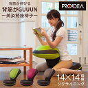 【2000円OFFクーポン】背筋がGUUUN 美姿勢座椅子|ドリーム 座椅子 美姿勢座椅子 背筋がGUUUN 姿勢サポート リクライニング座椅子 14段階調整 ...