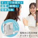 【ポイント10倍】すっきりジェット 電解水口内洗浄器 NL2050|口腔洗浄器 電解水 口腔ケア 歯 歯磨き 口内ケア デンタルケア 口臭予防 日本製 歯列矯正...