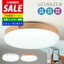 【2300円OFFクーポン】【交換フィルター(3300円)とレビュー特典付】UZUKAZE3 シーリングファンライト FCE-570|ウズカゼ 天井照明 シーリングライト スワン電器 サーキュレーターライト 羽根なしシーリングファンライト【送料無料】【ポイント2倍】【:1800】【着後L】