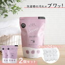 2個セット 洗濯槽キレイサッパリストロング 3回分小分けパック A-77826|洗濯槽クリーナー 槽洗浄 洗濯槽洗剤 洗濯槽の汚れ カビ取り お手入れ 雑菌 臭...