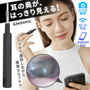 超小型カメラ搭載耳かき GeeSonic ジーソニック|耳かき カメラ 500万画素 スマート耳かき スマートカメラ ゲーソニック GeeSonic LED ライト ワイヤレス【送料無料】【ポイント10倍】【9/18】【海外×】