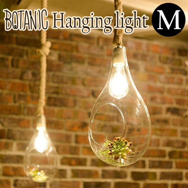 BOTANIC HANGING LIGHT M ボタニック ハンギングライト APE-021WH LEDライト LED照明 天井照明 おしゃれ ロープ 北欧 リビング シンプル カフェ風 寝室/スワン電器