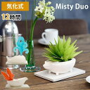 ミクニ 卓上加湿器 Misty Duo ミスティ デュオ 自然気化式ハイブリッド加湿器/ミクニ（mikuni）【ポイント10倍】【5/9】【ASU】【海外×】