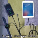 3in1 AllーInーOne Charger Cable オールインワンチャージャーケーブル 1台3役 充電ケーブル（TNT）【メール便送料無料】【ポイント10倍】【4/22】