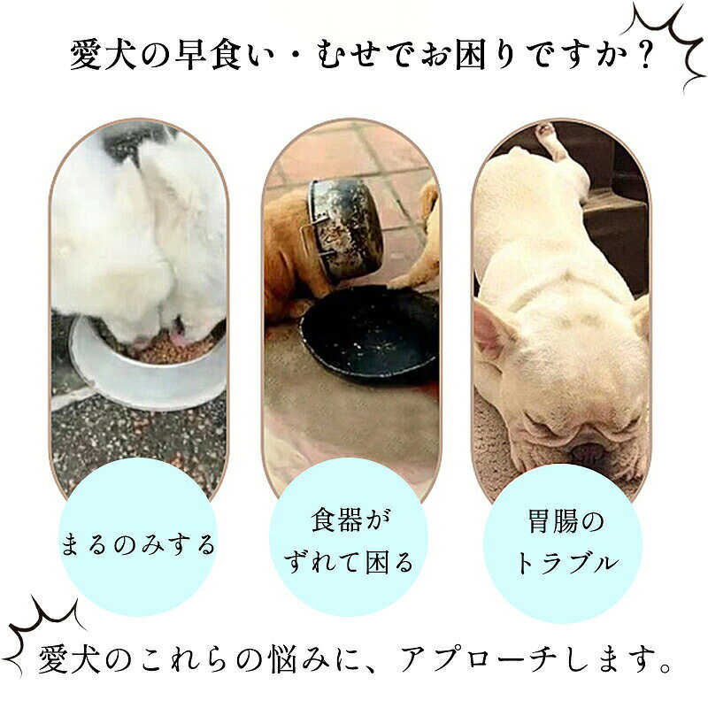 サンプル画像2