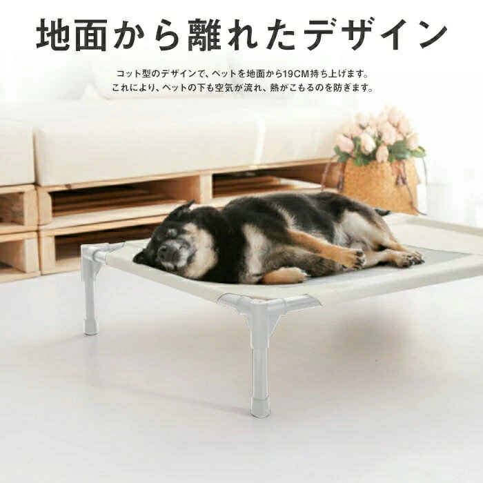 �ڥݥ����2�� & 5%���աۥڥåȥ٥å� ���դ� ���� ���å� �����ץ٥å� �� �٥å� �ϥ��å� ����ѥ��ȼ�Ǽ �ݡ����֥� �����緿�� �٥å� ������ ��������ǽ ��Ω��ñ �ڥå����� �߱� �� �� �� ������ ���̤���Υ�� �Ȥ��߻��ͤ�