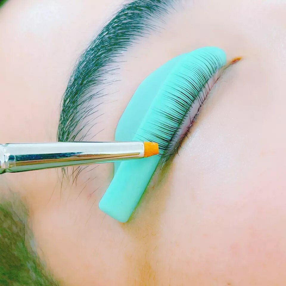 �ޤĤ����ѡ������夲�֥饷