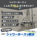 flaque07:10000017のサンプル画像2